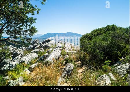 Genießen Sie die herrliche Aussicht von mirador del guarda Forestal in andalusien Stockfoto