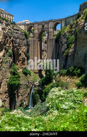 Die puente nuevo („neue Brücke“) erstreckt sich über die 120 Meter tiefe Schlucht, die den Fluss Guadaleva–­n führt und die Stadt ronda, die Schlucht El tajo, teilt. ronda, provence von malaga, andalusien, spanien. (Panorama) Stockfoto