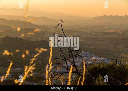 Der wunderschöne Sonnenaufgang bedeckt die Bergkette und den Bergwald mit Licht im Naturpark sierra de las nieves, andalusien, spanien (hdr) Stockfoto