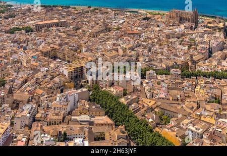 Luftaufnahme, Altstadt und Kirche santa iglesia catedral de mallorca,kathedrale von palma,Plaça Major,palma,mallorca,balearen,spanien Stockfoto