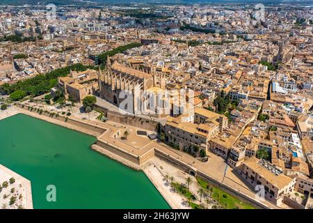 Luftaufnahme, kirche santa iglesia catedral de mallorca, kathedrale von palma, Parc de la mar, palma, mallorca, balearen, spanien Stockfoto