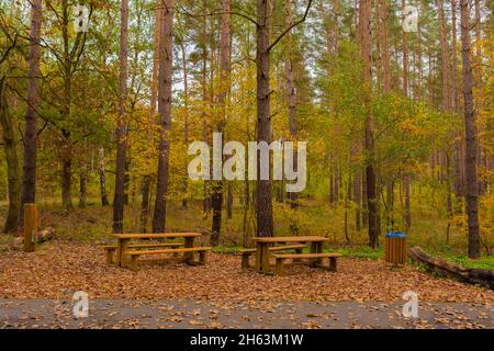 Bänke und Tische für Wanderer und Radfahrer im Herbst auf einem Freizeitpfad im Herbst, Herbstfarben Stockfoto