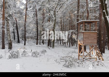 Kiefernwald im Winter mit viel Schnee, hoher Stand für Jäger Stockfoto