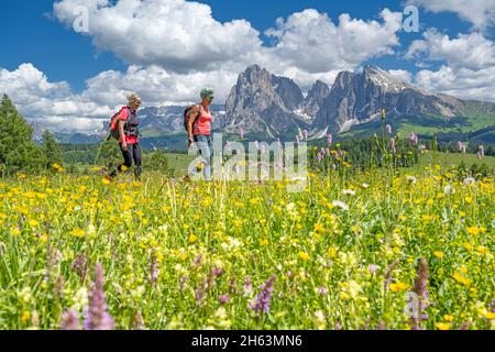 seiser alm,kastelruth,Südtirol,provinz bozen,italien. Wanderer unterwegs auf der seiser alm,im Hintergrund langkofel und plattkofel Stockfoto