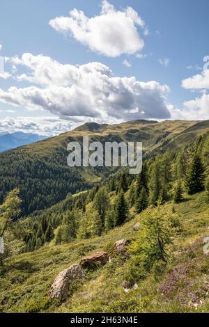 Blick auf den thurntaler rundweg,Wanderweg rund um den thurntaler Berg (2404 m),Blick auf die Parkenspitze (2323 m),Talstadt sillian,villgratener Berge,osttirol,lienzer Bezirk,tirol,österreich Stockfoto