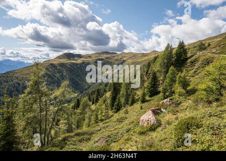 Blick auf den thurntaler rundweg,Wanderweg rund um den thurntaler Berg (2404 m),Blick auf die Parkenspitze (2323 m),Talstadt sillian,villgratener Berge,osttirol,lienzer Bezirk,tirol,österreich Stockfoto