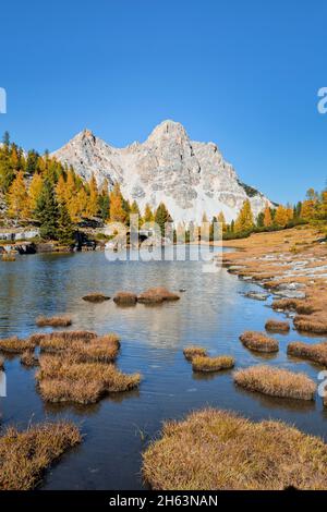 alpenlandschaft auf der fanes alm im Herbst,dolomiten von fanes sennes prags,st. vigil in enneberg,bozen,Südtirol,italien,europa Stockfoto