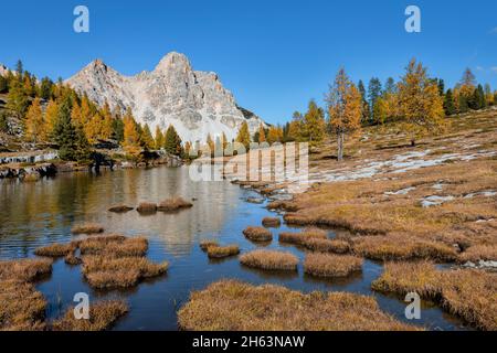 alpenlandschaft auf der fanes alm im Herbst,dolomiten von fanes sennes prags,st. vigil in enneberg,bozen,Südtirol,italien,europa Stockfoto