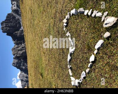 Steinherz auf Hochtennboden,Hochtennspitze,kalkkögel,stubaier alpen,axamer lizum,Hochtennbodensteig,Natur,Berge,tirol,österreich Stockfoto