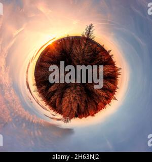 deutschland, thüringen, masserberg, heubach, abgestorbene Bäume, rennsteigegebiet, kugelförmiges Panorama, Sonne, teilweise Rücklicht Stockfoto