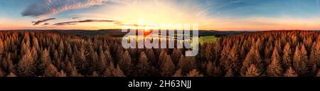 deutschland,thüringen,masserberg,heubach,abgestorbene Bäume,rennsteigegebiet,Sonnenaufgang,teilweise Rücklicht,360 – Grad Panorama Stockfoto