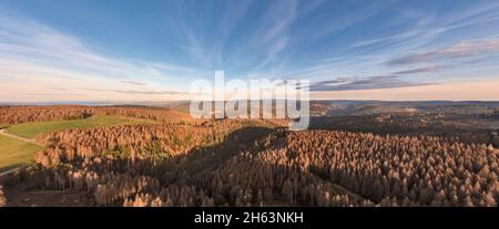 deutschland,thüringen,masserberg,heubach,Berge,Täler,große Flächen von toten Bäumen,rennsteigsumgebung,Übersicht,Luftaufnahme,Morgenlicht,Panorama Stockfoto