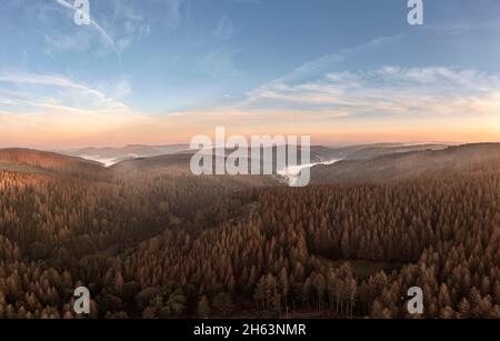 deutschland,thüringen,masserberg,heubach,Berge,Täler,große Flächen von toten Bäumen,rennsteigsumgebung,Übersicht,Luftbild,Morgenlicht Stockfoto