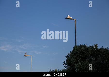 Impressionen von zadar,dalmatien,kroatien Stockfoto