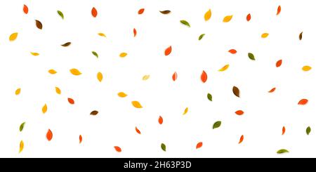 Herbstliche Blätter fallen. Rote, gelbe, grüne, braune zufällige Blätter fliegen. Fallender Regen buntes Laub auf magnetischem weißem Hintergrund. Fesselnd zurück zu Stock Vektor