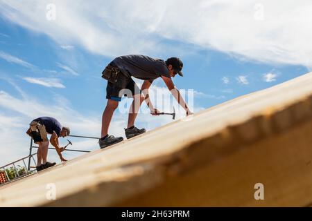 deutschland,bayern,Bau eines vorgefertigten Holzhauses,Nageln von Spanplatten auf dem Dach, Stockfoto