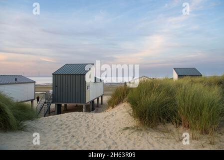 holländische Strandhäuser inmitten von Dünen vor einem abendlichen Nordseestrand. Stockfoto