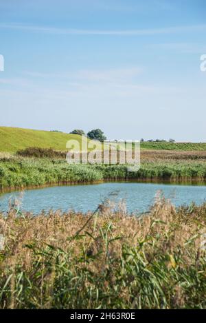 Naturlandschaft hinter einem Deich an der niederländischen Nordseeküste bei kamperland. Stockfoto