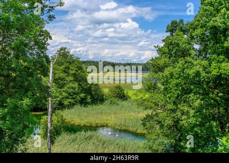 deutschland, bayern, oberbayern, pfaffenwinkel, iffeldorf, Blick über den Waschsee zum schiffhüttensee Stockfoto