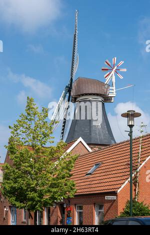 deutschland, niedersachsen, ostfriesland, alte Windmühle in ditzum. Stockfoto