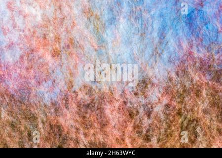 Verschwommener, verschwommener Wald aufgrund von Bewegungsunschärfen Stockfoto