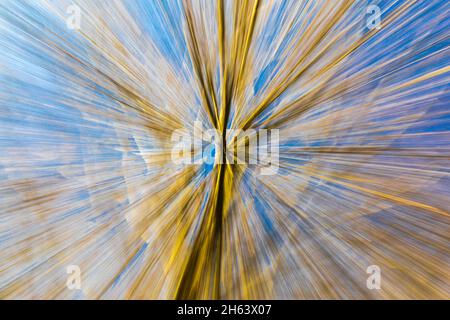 Verschwommener, verschwommener Wald aufgrund von Bewegungsunschärfen Stockfoto