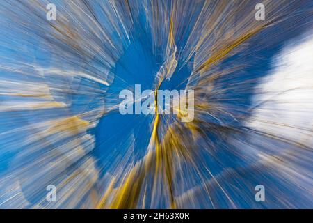 Verschwommener, verschwommener Wald aufgrund von Bewegungsunschärfen Stockfoto