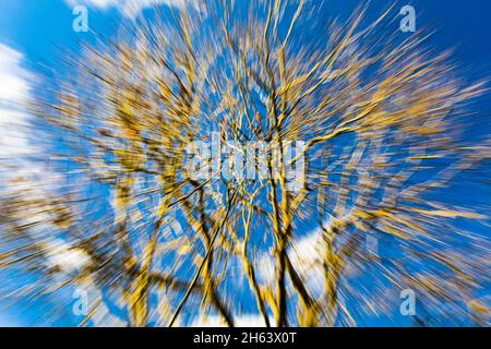 Verschwommener, verschwommener Wald aufgrund von Bewegungsunschärfen Stockfoto