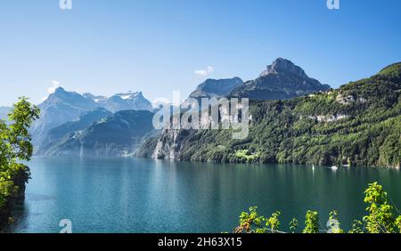 vierwaldstättersee in der Nähe von brunnen an einem sonnigen Sommertag umrahmt von wilden Felsbergen. schweiz, europa Stockfoto