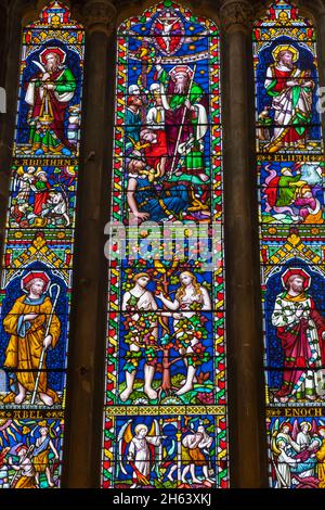 england, winchester, Krankenhaus des St. Kreuzes, die Kirche, Buntglasfenster mit Bild von adam und Eve Stockfoto