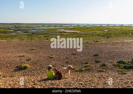 england, hampshire, der neue Wald, Keyhaven, Frau mit Hunden am Strand Stockfoto