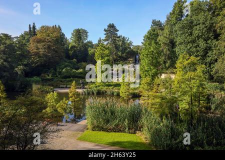 essen, Nordrhein-westfalen, deutschland - waldsee vor dem Alpinum mit Wasserfall,grugapark,ein Park in essen,entstand aus der ersten großen Gartenbauausstellung im Jahr 1929,war das Parkgelände der Bundesgartenschau im Jahr 1965. Stockfoto