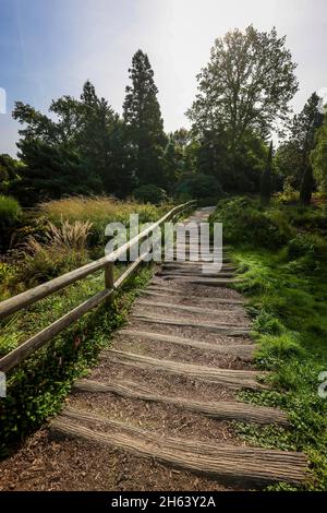 essen, Nordrhein-westfalen, deutschland - Pfad mit Holzbohlen im heide Moor, einem Park in essen, der aus der ersten großen Gartenbauausstellung im Jahr 1929 entstand, war 1965 das Parkgelände der Bundesgartenschau. Stockfoto