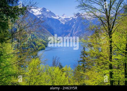 Blick vom malerwinkel auf den königssee mit Steinernem Meer und schönfeldspitze 2653m, schönau am königssee, berchtesgadener alpen, berchtesgadener Land, oberbayern, bayern, deutschland Stockfoto