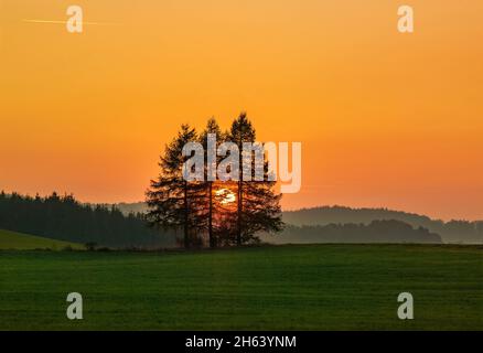 deutschland,baden-württemberg,hohenstein-eglingen,Baumgruppe,Sonnenuntergang auf der schwäbischen alb. Stockfoto