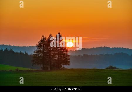 deutschland,baden-württemberg,hohenstein-eglingen,Baumgruppe,Sonnenuntergang auf der schwäbischen alb. Stockfoto