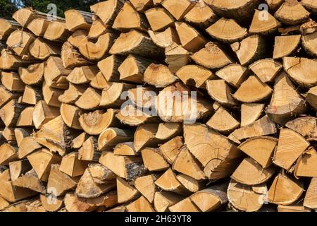 deutschland,baden-württemberg,durbach,Holzstapel,Brennholz,Schnittholz,Heizmaterial,Rundholz Stockfoto