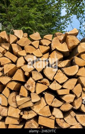 deutschland,baden-württemberg,durbach,Holzstapel,Brennholz,Schnittholz,Heizmaterial,Rundholz Stockfoto