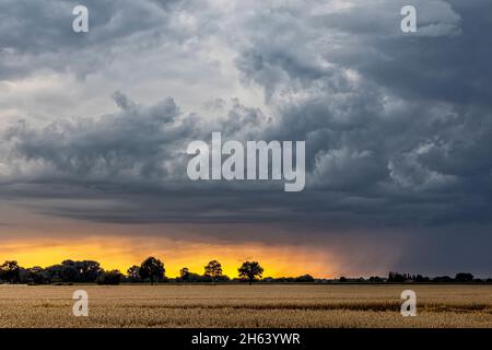 Gewitterwolken sammeln sich bei Sonnenuntergang über einem Feld Stockfoto