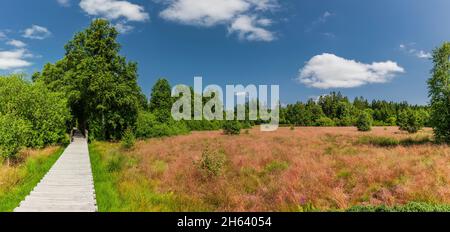 Holzweg durch das schwarze Moor in der rhön Stockfoto