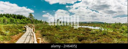 Holzweg durch das schwarze Moor in der rhön Stockfoto