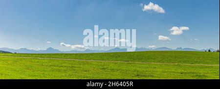 alpenpanorama vor einer grünen Wiese im allgäu Stockfoto