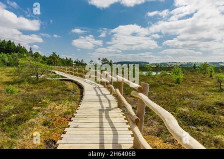 Holzweg durch das schwarze Moor in der rhön Stockfoto