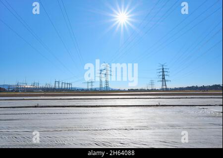 Landschaft, Hochspannungsmasten, Pflanzenfilm, Frühling, hessen, deutschland Stockfoto