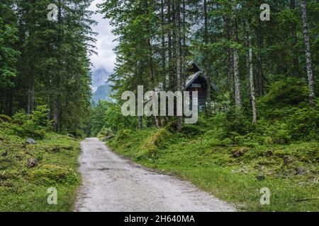 Der Wanderweg zum oberen gosauer dachsteinsee, österreich. Stockfoto