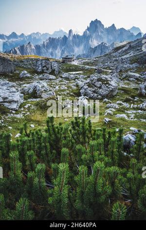 rifugio lavaredo und di cadini Berge im Hintergrund,sesto dolomiten,trentino,Alto-adige,Südtirol,italien. Stockfoto