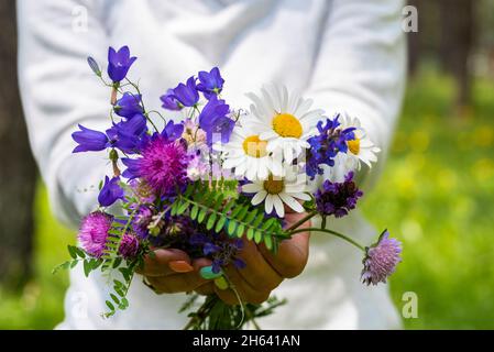 Frau zeigen einen natürlichen Blumenstrauß mit verschiedenen Blumen und Farben - Konquet von Natur und Umwelt - Menschen und Gänseblümchen für Freiheit und Glück Konzept Lifestyle Stockfoto