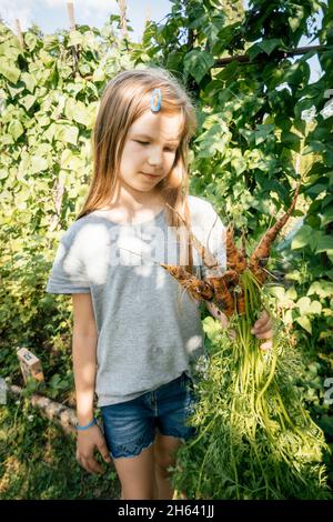 Mädchen hält ein paar frisch geerntete Karotten im Garten Stockfoto