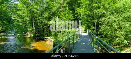 Brücke bei de buchberger leite im bayerischen Wald Stockfoto