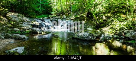 Wolfensteiner ohe in der buchberger Leite im bayerischen Wald Stockfoto